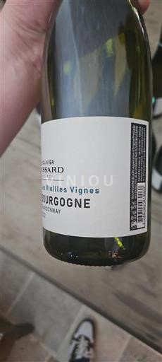 Burgundija Burgundija Chardonnay Domaine Olivier Boussard Les Vieilles Vignes 2022