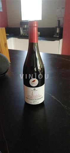 Valle della Loira Saint-Nicolas-De-Bourgueil Damien Bruneau Le Classique 2024