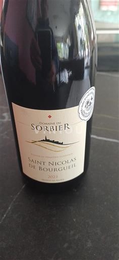 Valle del Loira Saint-Nicolas-De-Bourgueil Domaine Sorbier 2023