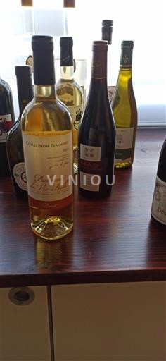 Sud-Ovest Pacherenc-du-vic-bilh Plaimont Collection 2021