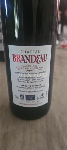 Bordeaux Castillon-côtes-de-bordeaux Château Brandeau 2019