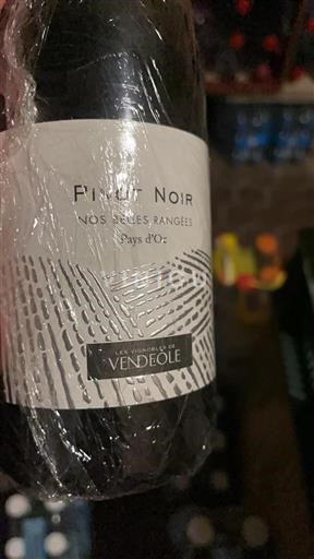 Languedoc og Roussillon Pays d'Oc Les Vignobles de Vendéole Nos Sillies Rangées 2023