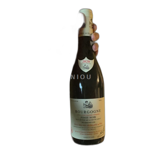 Borgogna Jean-Michel Guillon & Fils Sous le Fort de la Motte Giron 2020