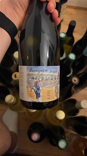 Vin Blanc sec Domaine Henri Naudin-Ferrand 2023 France Bourgogne Bourgogne-aligoté AOC