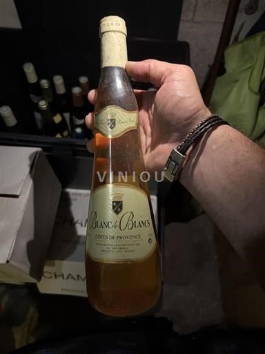 Provenza Côtes-de-Provence Les Vins Bréban Blanc de Blancs Senza annata