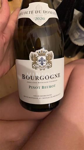 Bourgogne Château Meursault 2020