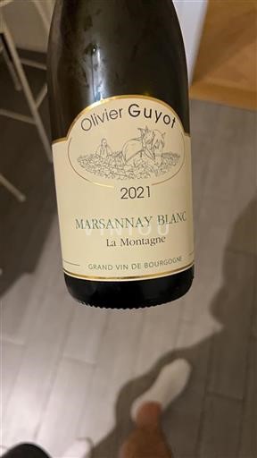 Burgundy Marsannay Olivier Guyot La Montagne 2021