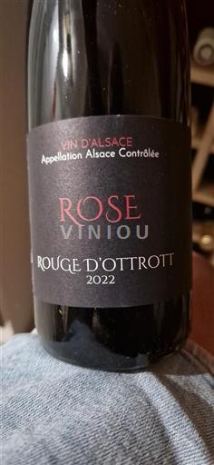 Alsasko Rouge Ottrott Rose 2022