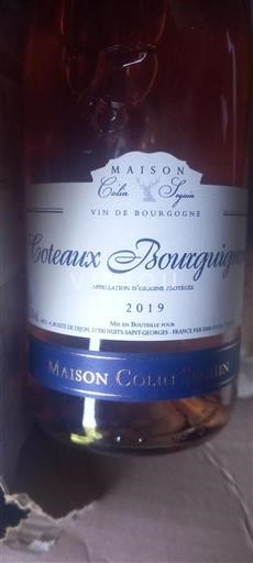 Borgogna Coteaux borgognoni Maison Colin Seguin 2019