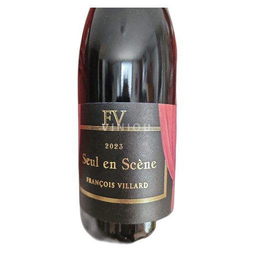 Valle del Rodano Non specificato François Villard Seul en Scène 2023