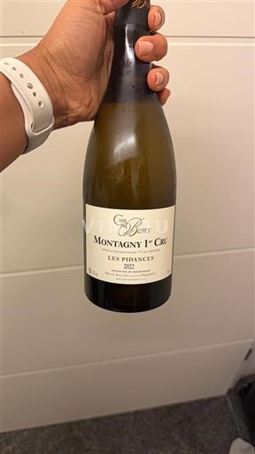 Bourgogne Premier Cru Cave de Bissey Les Pidances 2022