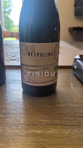 Emilia-Romagna Non specificato Poderi dal Nespoli Nespolino 2021