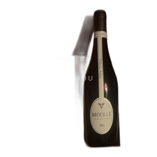 Vin Rouge sec Georges Duboeuf 2024 France Beaujolais Brouilly