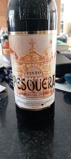 Castile and León Ribera del Duero Pesquera 1995
