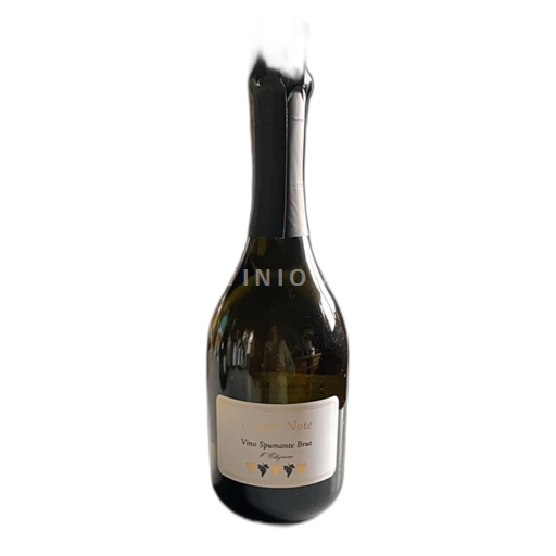 Tuscan Wines Unspecified Azienda Agricola Oliviera di Bandini Sandro Cinque Note Non-Vintage