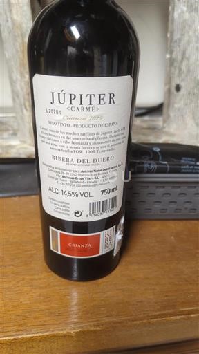 Castile and León Ribera del Duero Bodegas Grupo Yllera Carmé 2019