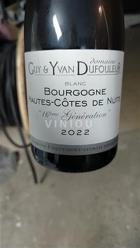 Borgogna Hautes Côtes de Nuits Guy & Yvan Dufouleur 16ème Génération 2022