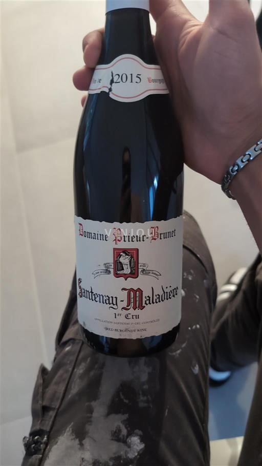 Borgonha Santenay Premier Cru Domaine Prieur-Brunet 2015