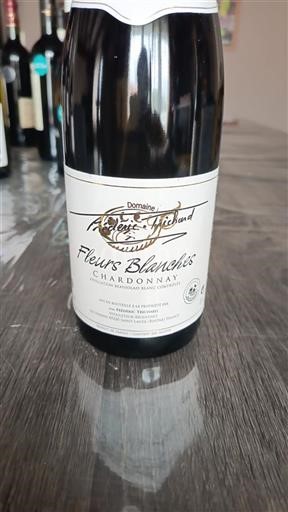 Beaujolais Ospecificerad Domaine Frédéric Trichard Fleurs Blanches 2023