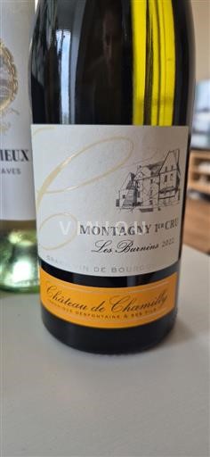 Borgogna Montagny Premier Cru Château Chamilly Les Burnins 2022