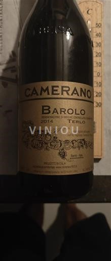 Piemonte Barolo Camerano Terlo 2014