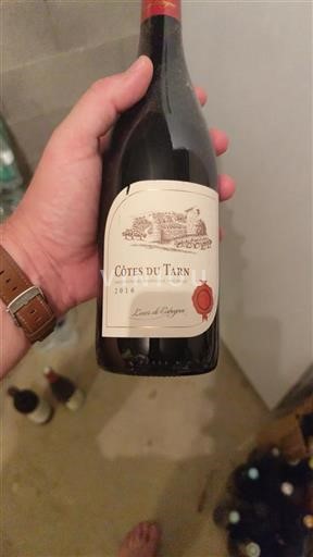 Sud-Ouest Côtes du Tarn Leas de Cabacac 2016