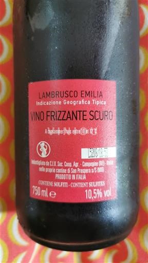 Emilia-Romagna Non specificato Vino Frizzante Scuro Senza annata