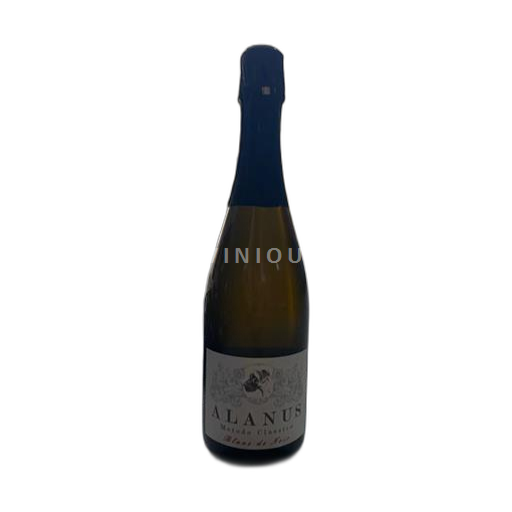 Piedmont Wines Alta Langa Andrea Pala 2025 2025