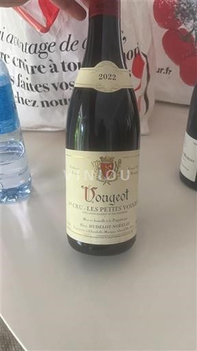 Burgundsko Vougeot Premier Cru Hudelot-Noellat Les Petits Vougeot 2022