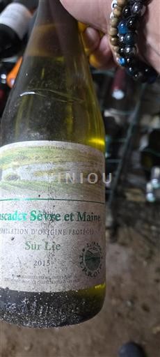 Valle della Loira Muscadet Sèvre et Maine Sur Lie 2015