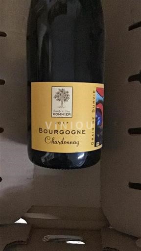 Burgundy Isabelle et Denis Pommier Grain de Survie 2017