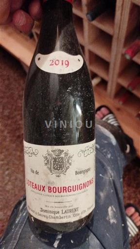 Burgundy Coteaux Bourguignons Dominique Laurent 2019