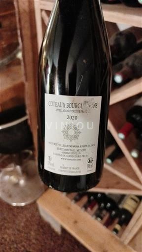 Burgundy Coteaux Bourguignons L. Métairie 2020