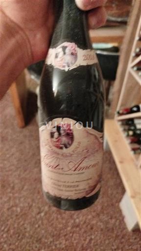 Beaujolais Saint-Amour Domaine Des Gandelins 2018