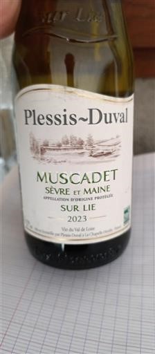 Vallée de la Loire Muscadet-sèvre-et-maine Plessis-Duval Sur Lie 2023