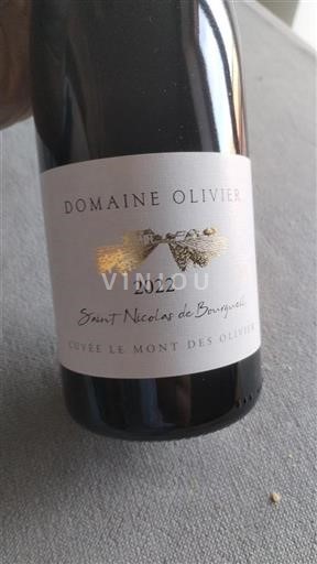 Vallée de la Loire Saint-Nicolas-De-Bourgueil Domaine Olivier Le Mont des Olivier 2022