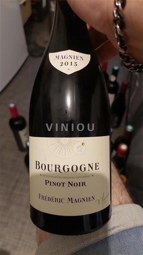 Burgundy Frédéric Magnien 2013