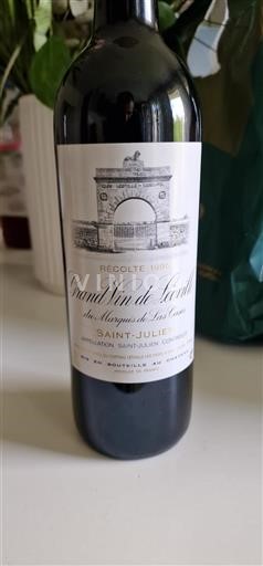 Bordeaux Saint-Julien Grand Cru Château Léoville Las Cases Grand Vin 1995
