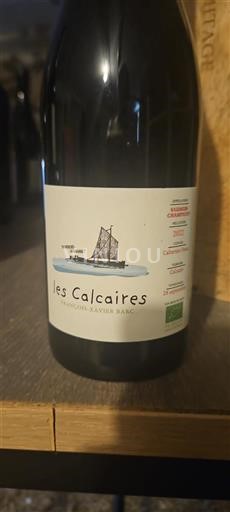 Valle della Loira Saumur-Champigny François-Xavier Barc Les Calcaires 2022