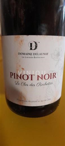 Vallée de la Loire Domaine Delaunay Le Clos des Rochettes 2022