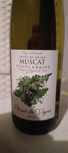 Languedoc et Roussillon Côtes du Brian Plaisir de Vigne 2024