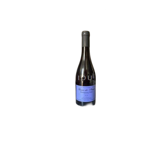 Bourgogne Sylvain Pataille Fleur de Pinot 2020