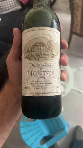 Sudoeste Não especificado Domaine Montels 1991