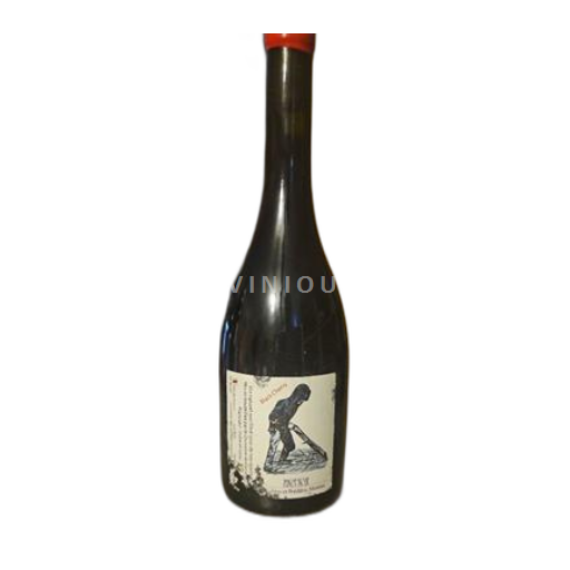 Loire-dalen Anjou Julien et Frédéric Moreau Black Cherry 2021