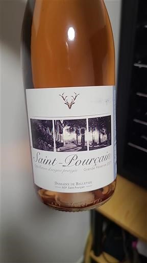 Vallée de la Loire Saint-Pourçain Domaine Bellevue Grande Réserve 2021