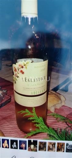 Languedoc Clairette of Languedoc Adissan L'Églantier 2010