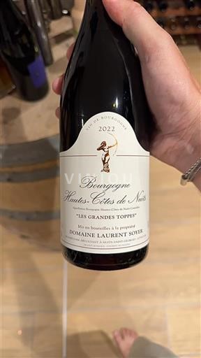 Borgogna Hautes Côtes de Nuits Domaine Laurent Soyer Les Grandes Toppes 2022