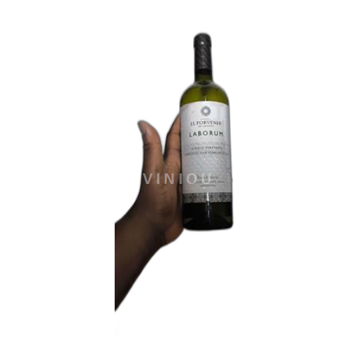 Vin Blanc sec Laborum El Porvenir de Cafayate 2023 Argentine Salta