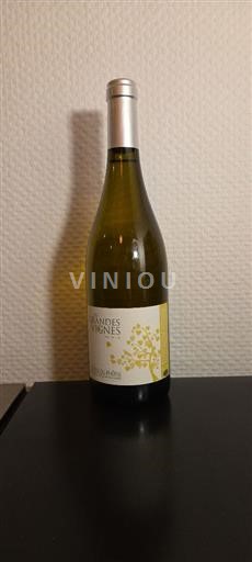 Rhônen laakso Côtes-du-rhône Les Grandes Vignes Non Filtré 2021