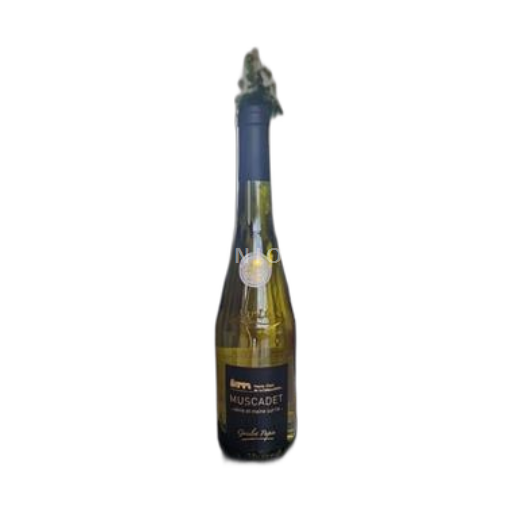 Valle della Loira Muscadet Sèvre et Maine Haute-Cour de la Débaudière Goislot Papin Senza annata